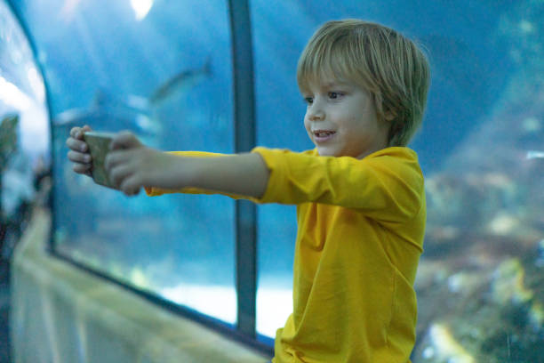 istock The little boy makes selfie 1221248092