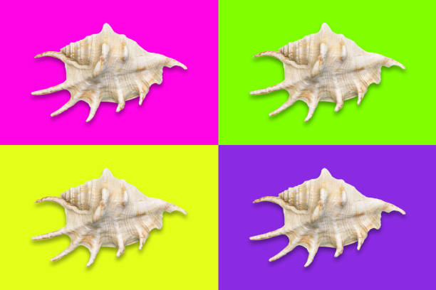 Souvenir of dried spherical puffer fish with needles