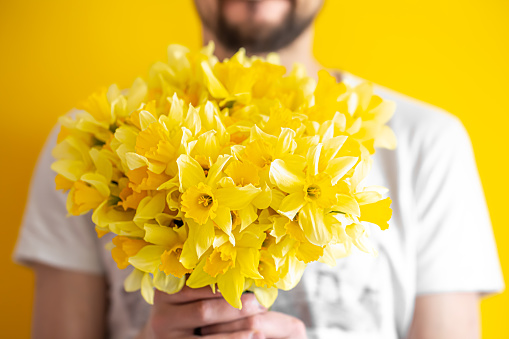 Daffodils in Full Bloom growing in the wild