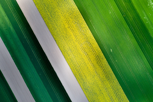 Aerial image of agricultural field with different cultures and colors in geometric shape