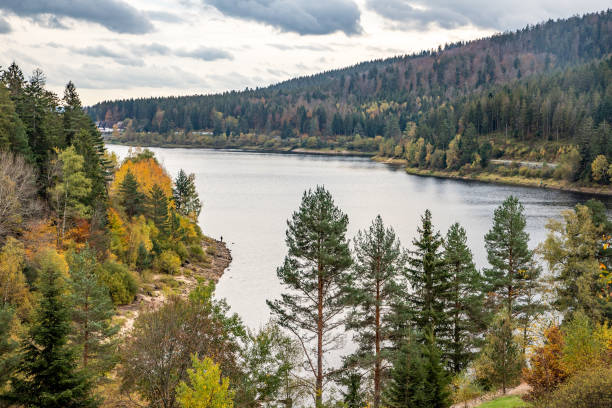 istock Schwarzenbach Dam and Black Forest 1221254774