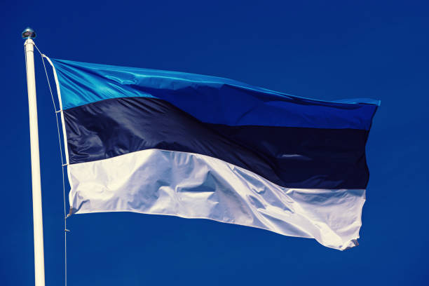 istock Flag of Estonia 1221256217