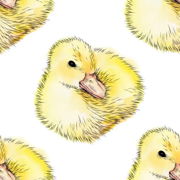 Vector illustration of Baby Duck Seamless Pattern  - Ink and Watercolor Vector EPS10 Illustration