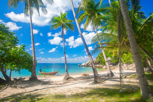 istock Tropical beach with coconut palm and longtail boat 1221258681