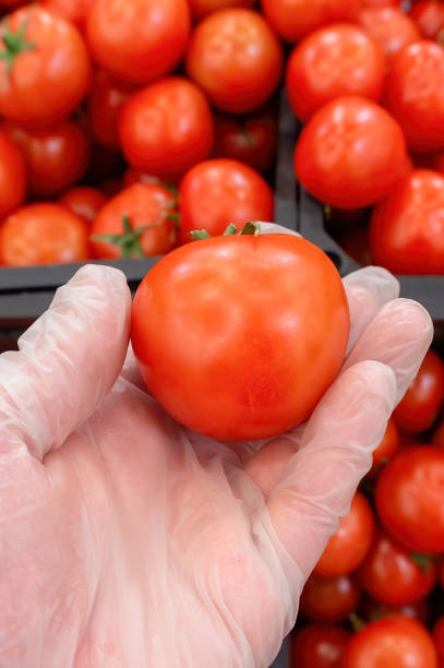 istock gloves on hand when shopping for tomato 1221260589