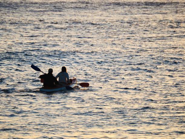 istock Sunrise Kayaking in Brunswick Heads 1221261895