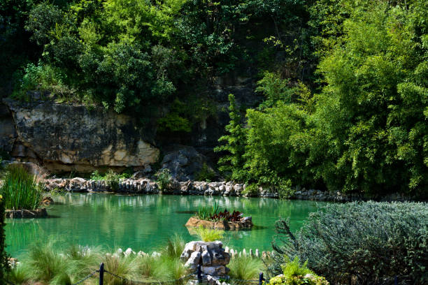 istock Flower Beds in the Pond 1221264933