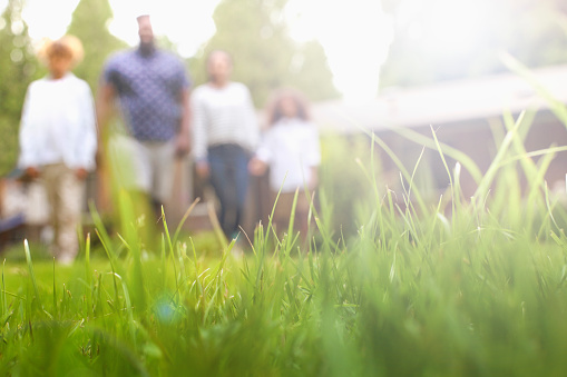 Defocused surface level portrait of African-American family walking at backyard lawn