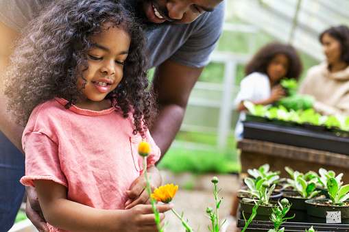 African American parents teaching children to take care of plants at plant nursery