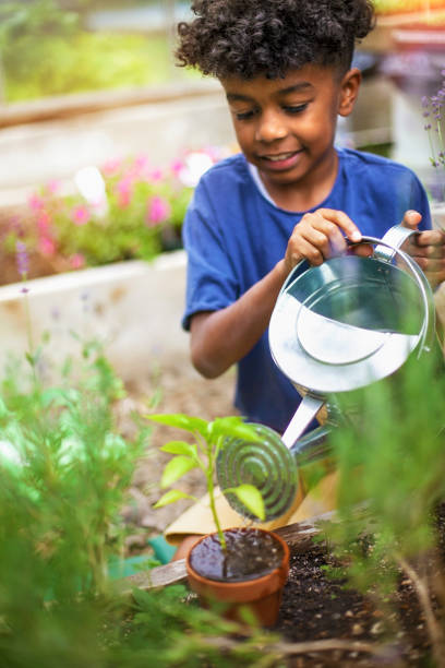 plante en pot d’arrosage d’enfant de race mixte au jardin communautaire - pouring growth can water photos et images de collection
