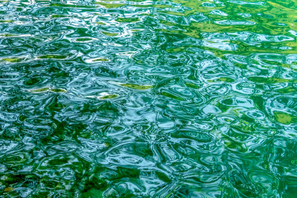 istock Green blue river reflection in Finland 1221269277