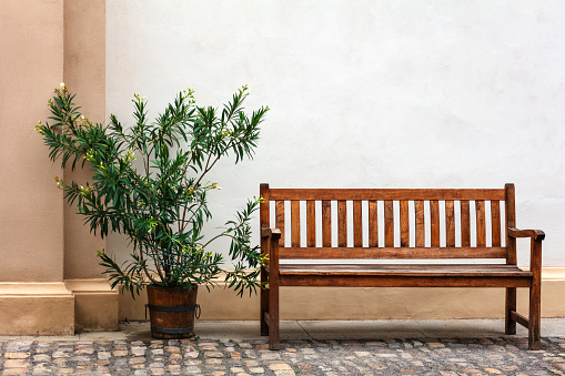 empty wooden bench with wall as background