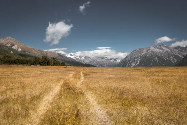 тропа, пройдите через долину реки ваймакарири - high country стоковые фото и изображения