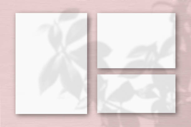 istock Several horizontal and vertical sheets of white textured paper on the background of a pink wall. Natural light casts shadows from an exotic plant. Flat lay, top view 1221277837