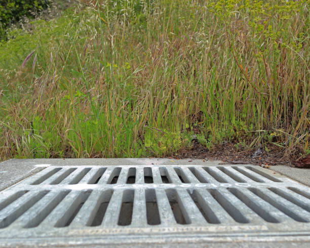 istock Street Grate and Tall Grass 1221283847