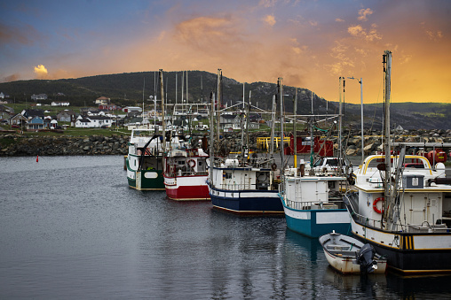 Bonavista, Newfoundland, Canada