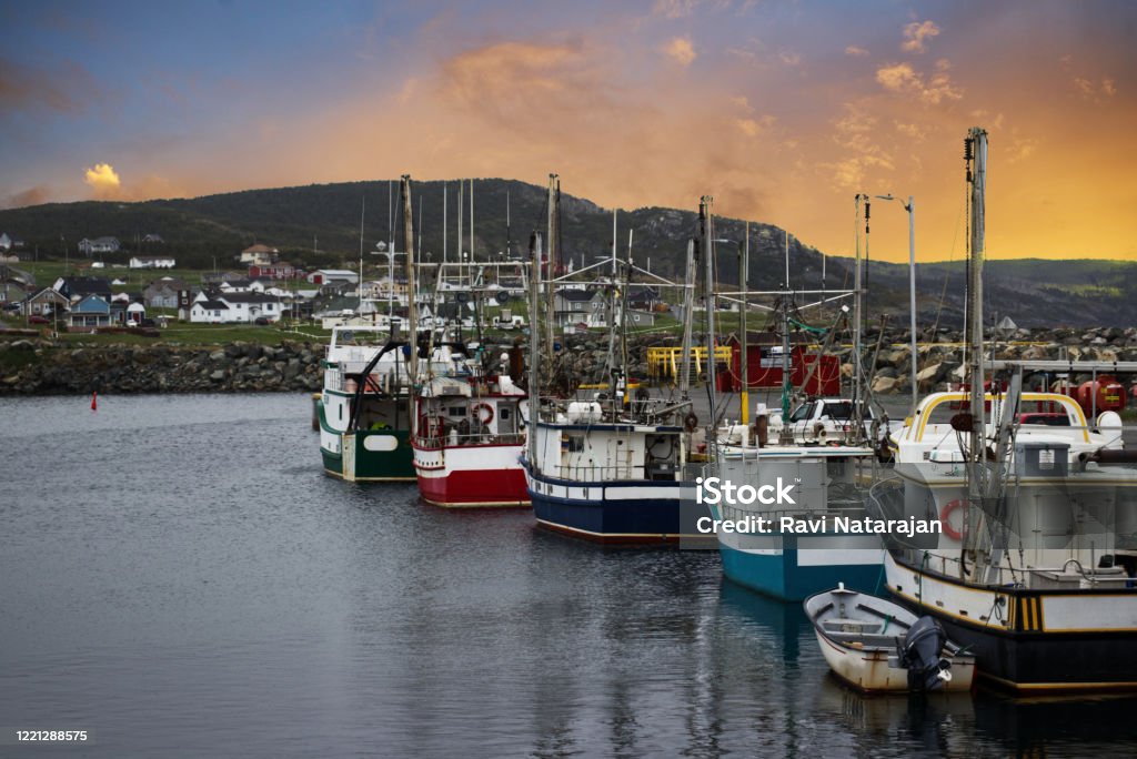 Port of Bonavista at dawn, Newfoundland, Canada Bonavista, Newfoundland, Canada Newfoundland Island Stock Photo