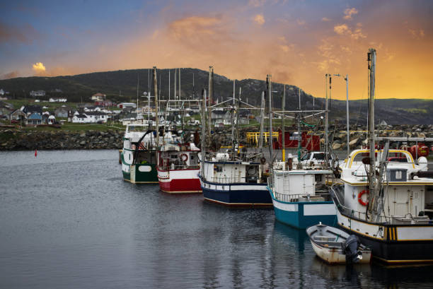 Port of Bonavista at dawn, Newfoundland, Canada stock photo