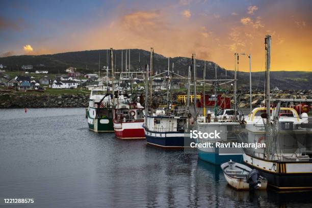 Port Of Bonavista At Dawn Newfoundland Canada Stock Photo - Download Image Now - Newfoundland Island, Fishing, Canada