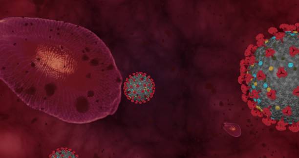 alta concentração doença coronavírus covid-19. grupo de animação de vírus e glóbulos vermelhos fecham. ilustração 3d de renderização 3d - hiv cell human cell retrovirus - fotografias e filmes do acervo