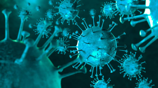 istock 3D illustration Coronavirus COVID-19 virus under microscope in blood sample 1221295528