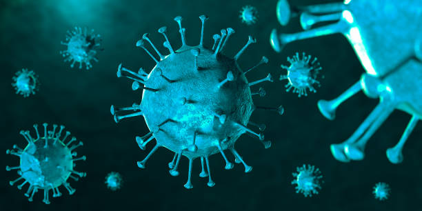 istock 3D illustration Coronavirus COVID-19 virus under microscope in blood sample 1221295529