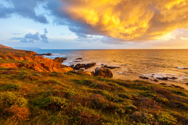 istock Rugged cliffs on Pacific Coast with Yellow Glowing Storm Clouds at Sunset 1221297573