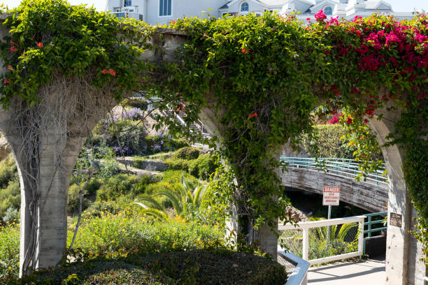 istock The historic arches at Dana Point California 1221299666
