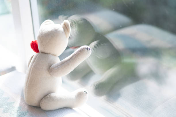 istock Old white teddy bear waving at window with poppy on shoulder 1221300719