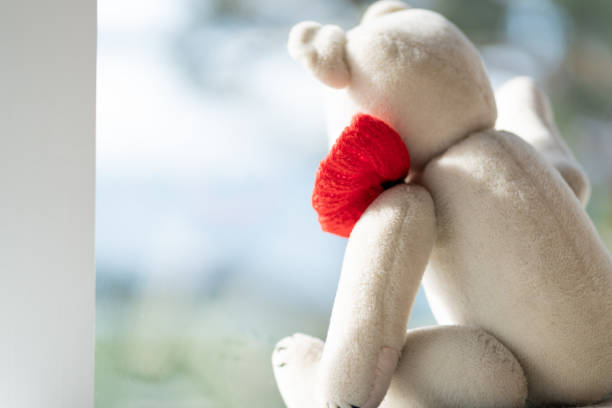 Old white teddy bear waving at window with poppy on shoulder for Remembrance Day