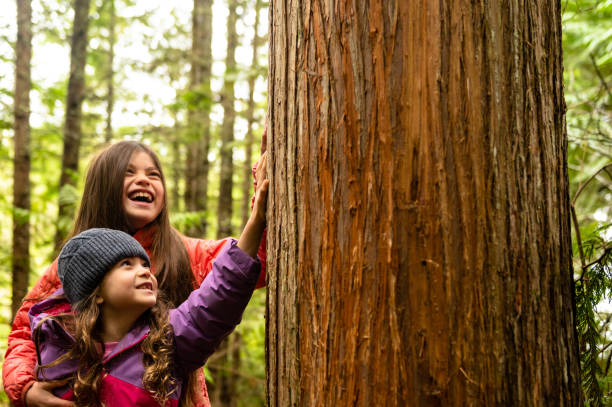 istock Young children connecting in nature 1221304338