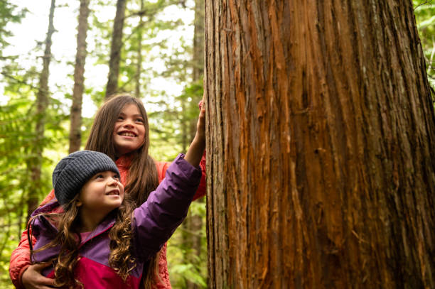 istock Young children connecting in nature 1221304348