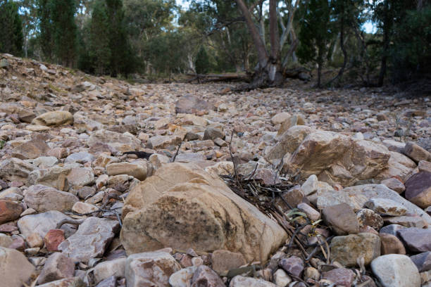 Low angle photo of rocks in a dry riverbed