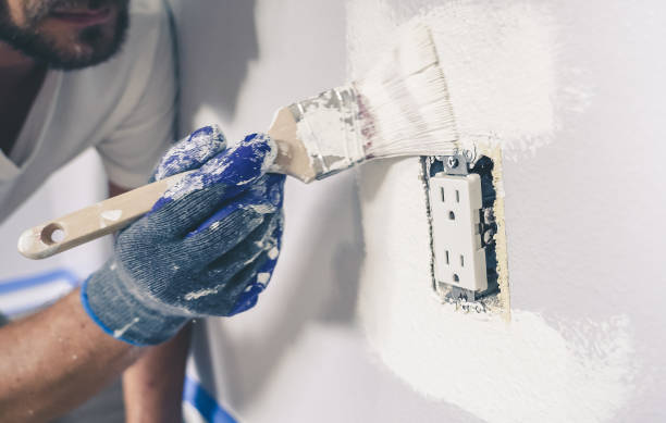 painter man with gloves painting the wall around power outlet. - brushing human hand paintbrush artist imagens e fotografias de stock