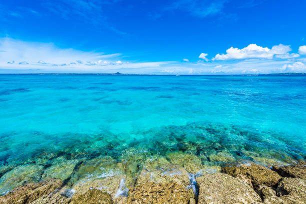 istock Beautiful beach in Okinawa. 1221310457