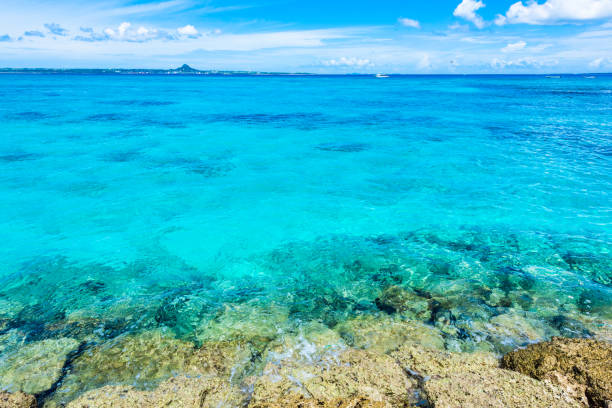 istock Beautiful beach in Okinawa. 1221310459