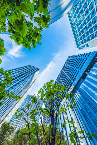 istock High-rise building in Tokyo. 1221310563