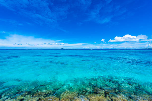 beautiful beach in okinawa. - horizon over water white green blue imagens e fotografias de stock