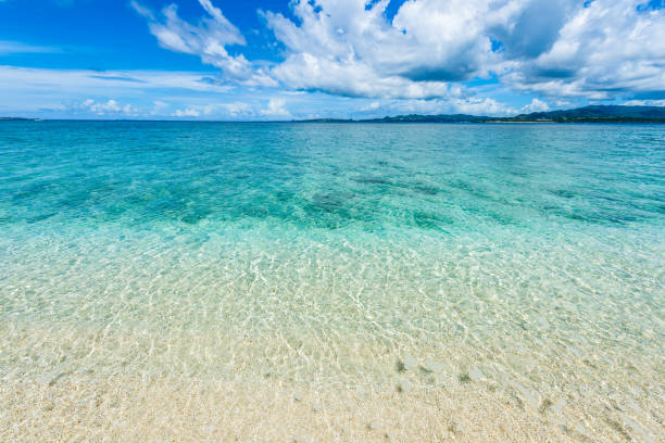 istock Beautiful beach in Okinawa. 1221311324