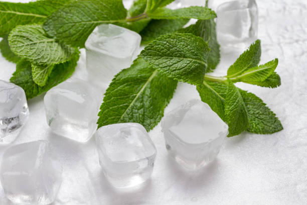 istock Ice and mint on white background. Top view 1221315553