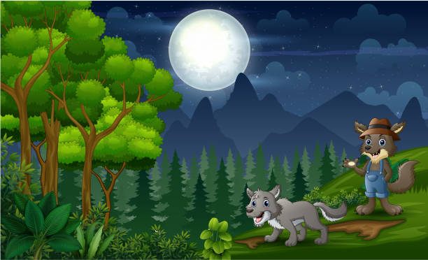 ilustrações de stock, clip art, desenhos animados e ícones de night scene with two wolves at nature - 11877