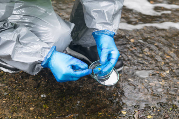 istock hands in a protective suit and blue rubber gloves take a sample of algae near the river with tweezers for examination in the laboratory 1221316554