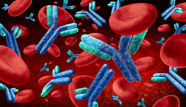 istock Antibody  In The Blood 1221317717