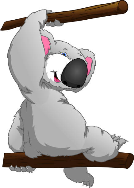 ilustraciones, imágenes clip art, dibujos animados e iconos de stock de lindo koala caricatura - stuffed animal toy koala australia