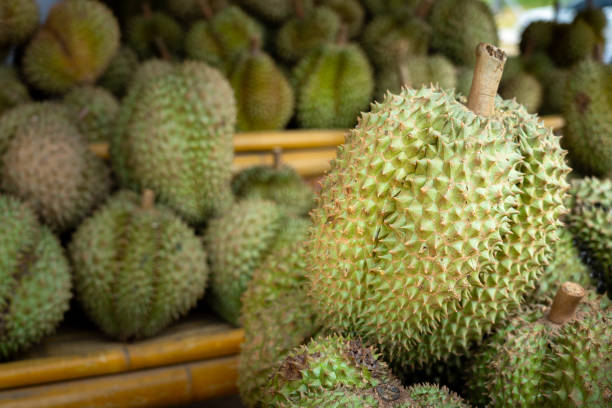 istock 