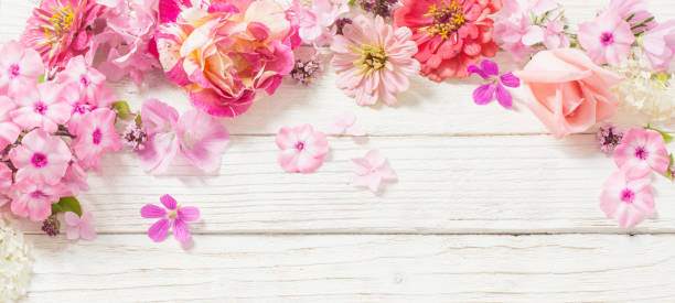 istock pink flowers on white wooden background 1221326654