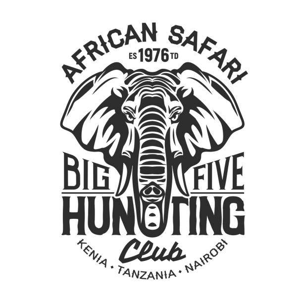 illustrations, cliparts, dessins animés et icônes de impression de t-shirt d’éléphant de la chasse de safari africaine - raid 5