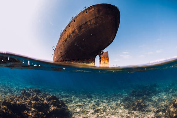 istock Telamon wreck ship underwater in ocean near Arrecife, Lanzarote 1221336270