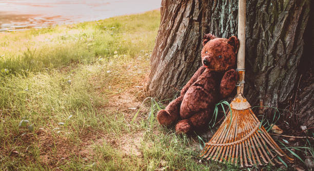 istock An old Teddy bear sits alone under a tree in the Park 1221339230