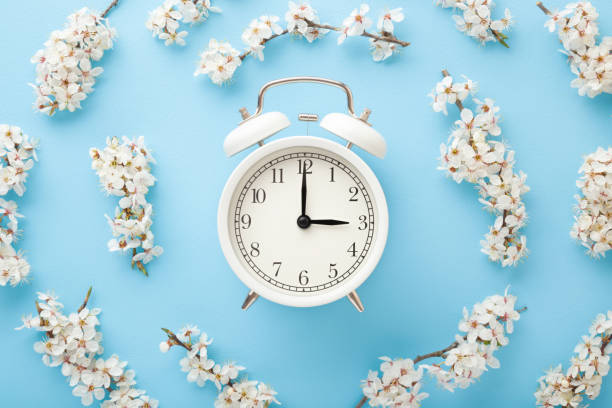istock Alarm clock with branches of white cherry blossoms on light blue table background. Time concept. Close up. Top down view. Flat lay. 1221339828